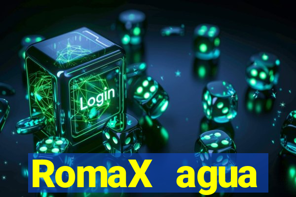 RomaX agua sanitaria fispq agua sanitaria romax